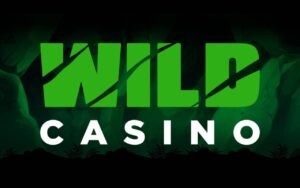 Wild Casino Review 2024